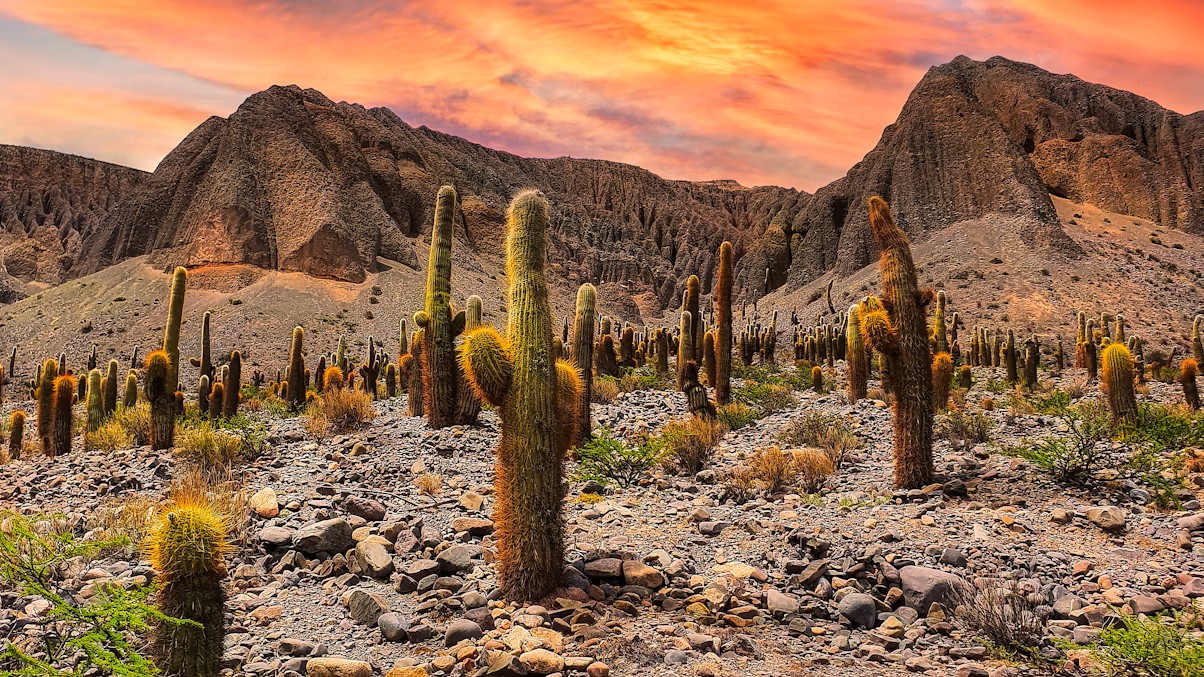 San Pedro de Atacama
